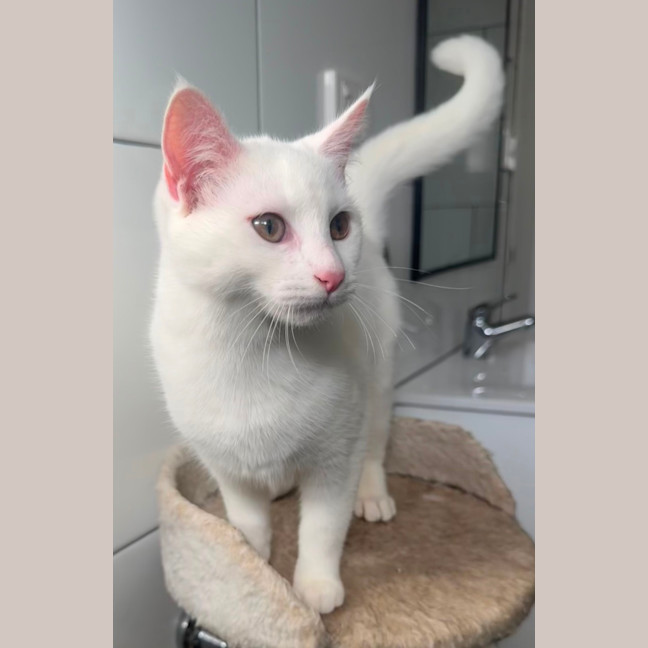 Photo of Elsa