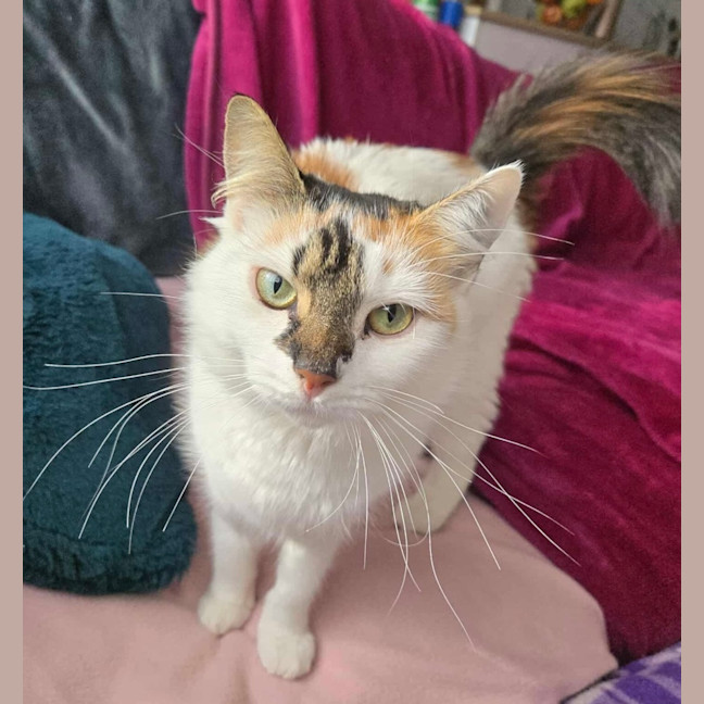 Photo of Evie & Charlotte 