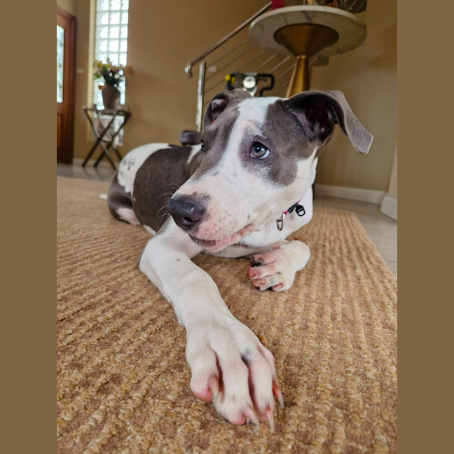 Photo of Zumba
