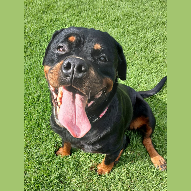 Photo of Nala Thomas