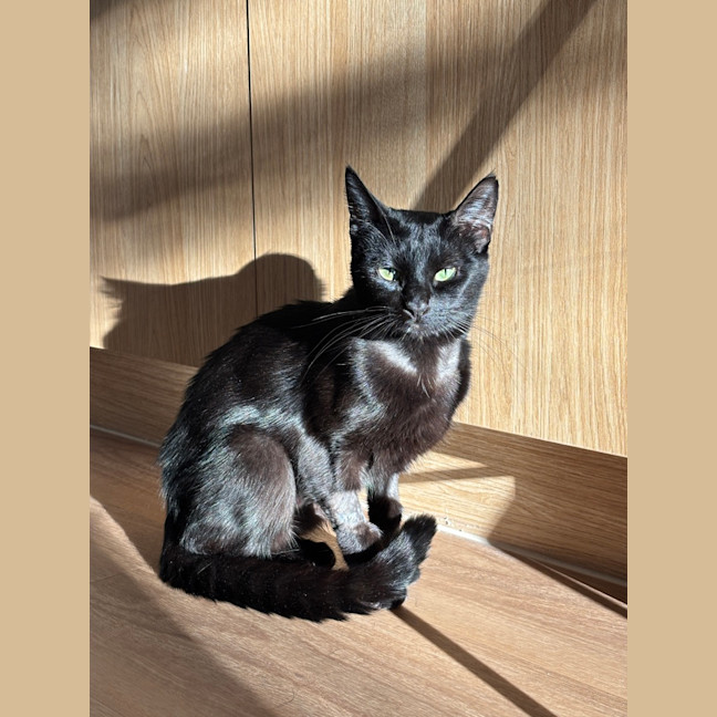 Photo of Merp (Previously Leanne) 