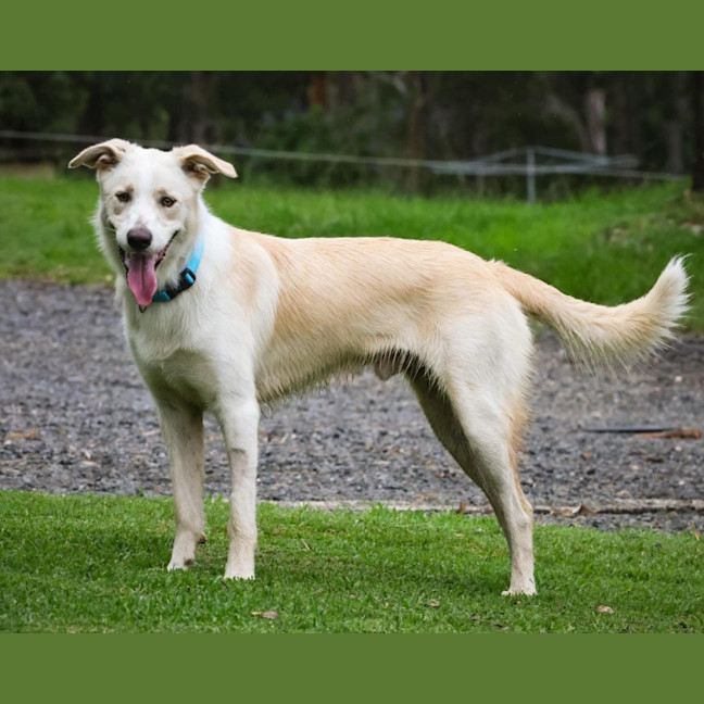 Photo of Boomba