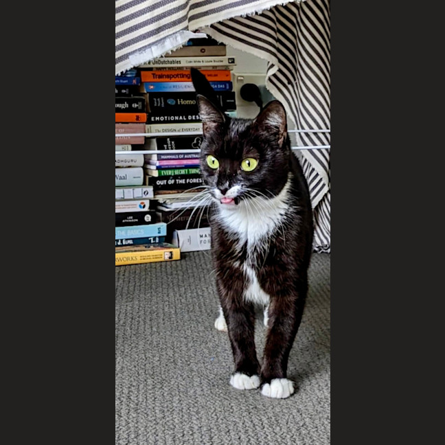 Photo of Stevie Mitts