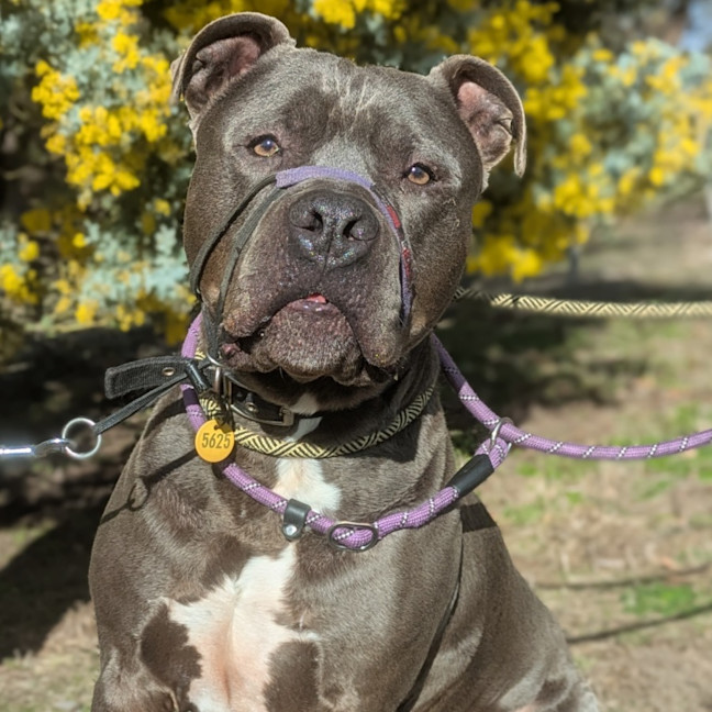 Photo of Zeus 
