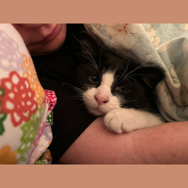Photo of Maggie