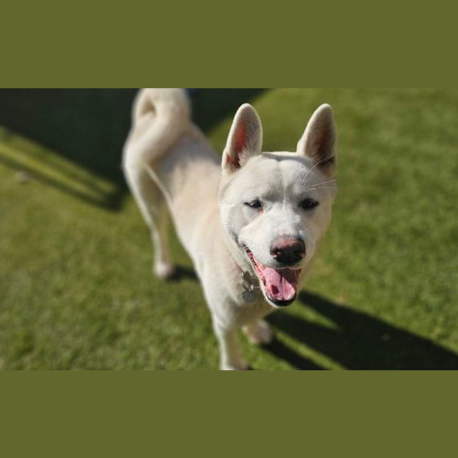 Photo of Lala