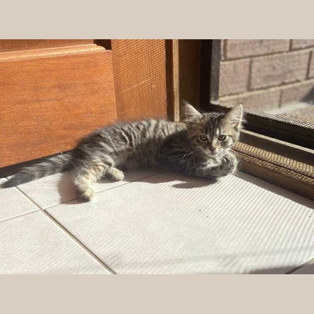 Photo of Marie 