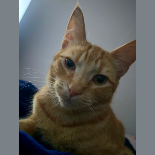 Photo of Monte