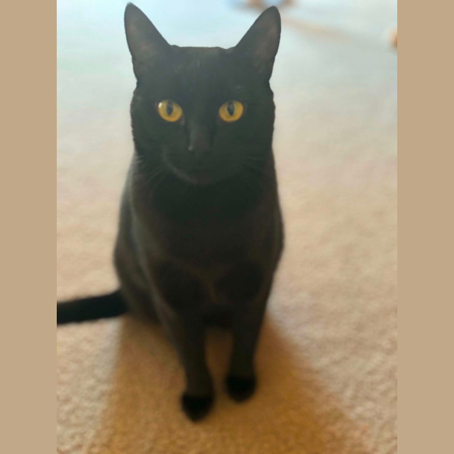 Photo of Ellie
