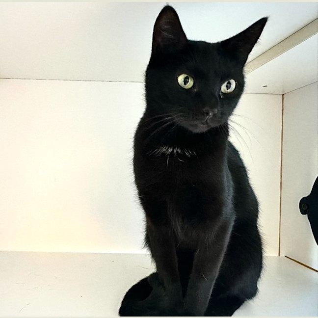 Photo of Sabrina