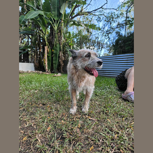 Photo of Millie