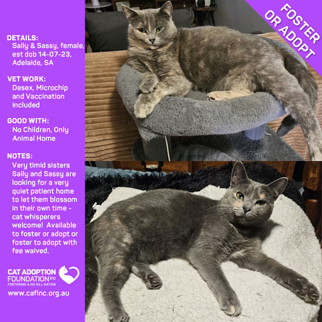 Photo of Sally And Sassy