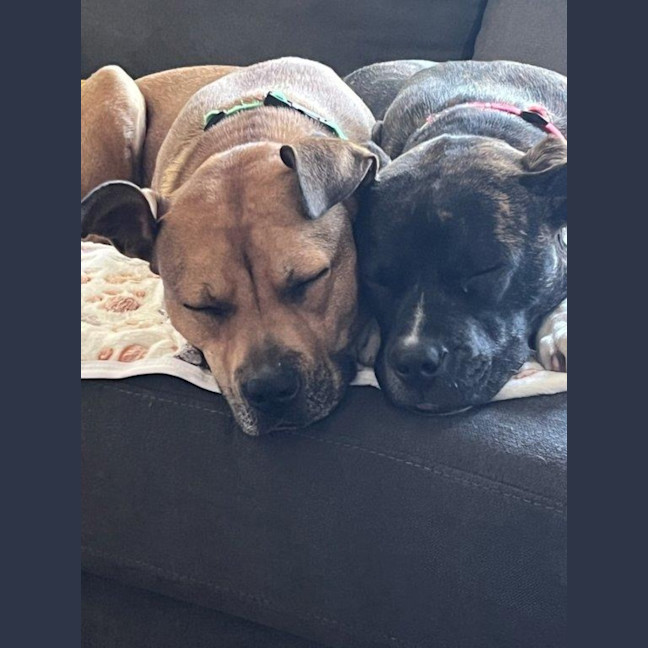 Photo of Daisy Haliwell