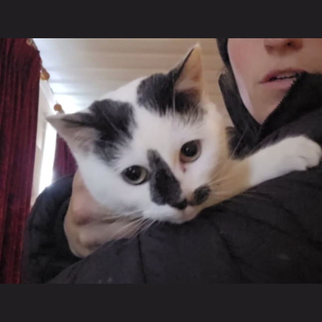 Photo of Milly