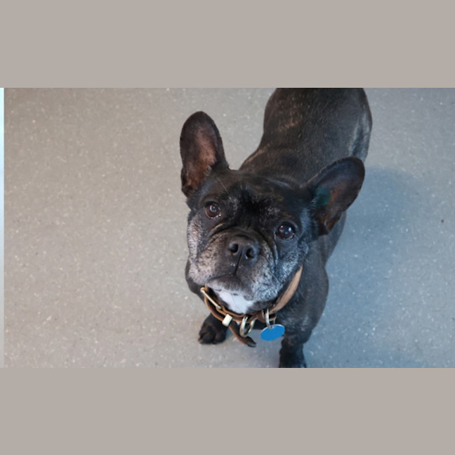 Photo of Coco 