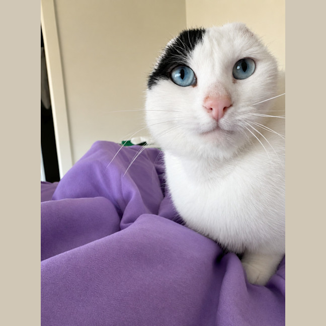 Photo of Jenny