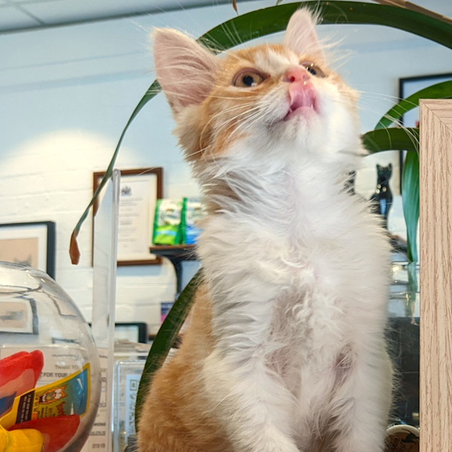 Photo of Rupert