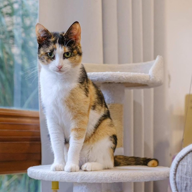 Photo of 12370   Meg