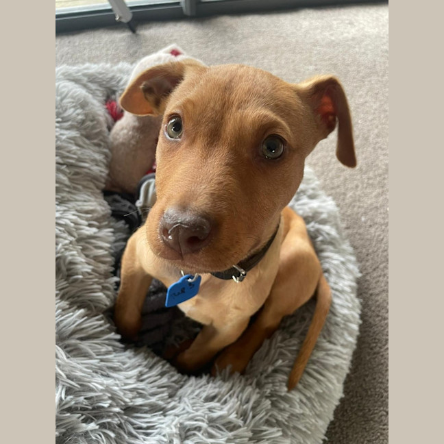 Photo of Murphy