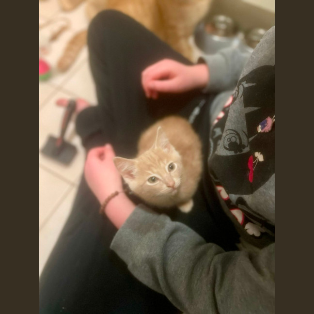 Photo of Hiccup