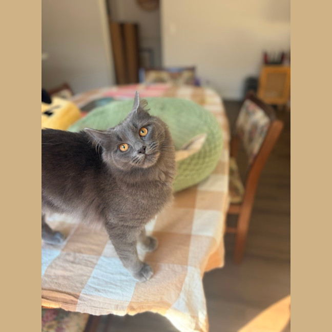 Photo of Peppercorn