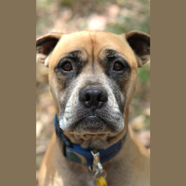 Photo of Maximus