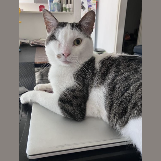 Photo of Bibi