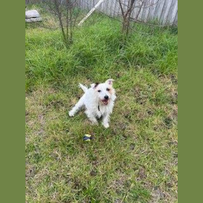 Photo of Russell Russelton