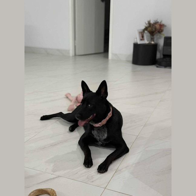 Photo of Felice (Astrid)