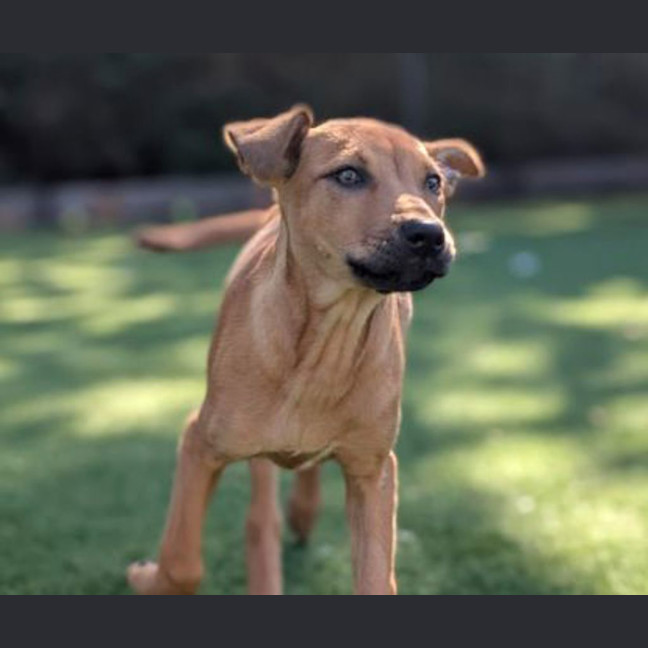 Photo of Winnie