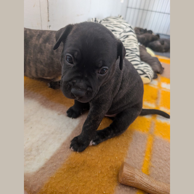 Photo of Zeus