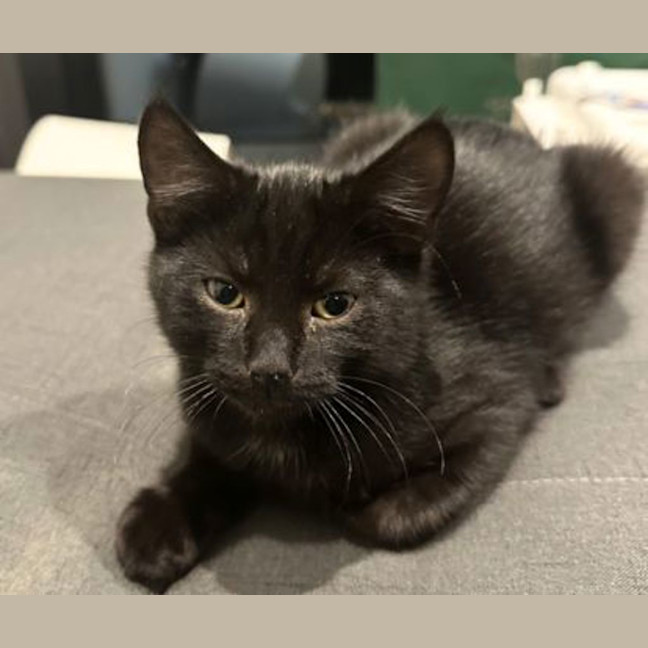 Photo of Turbo