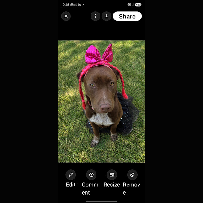 Photo of Cino