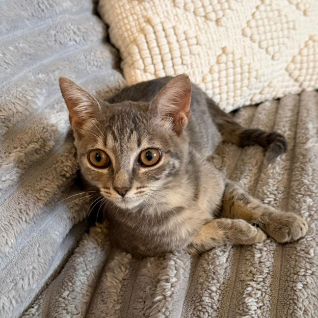Photo of Hazel