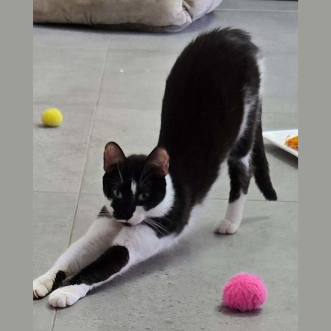 Photo of Blinky