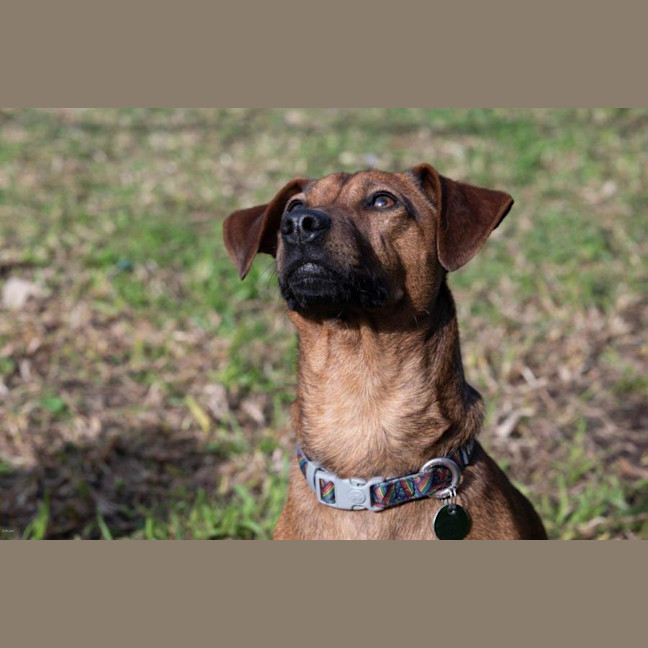 Photo of Bean And Dunkin Russelton