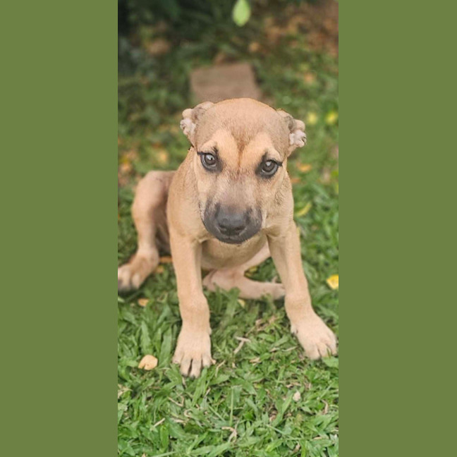 Photo of Laylei