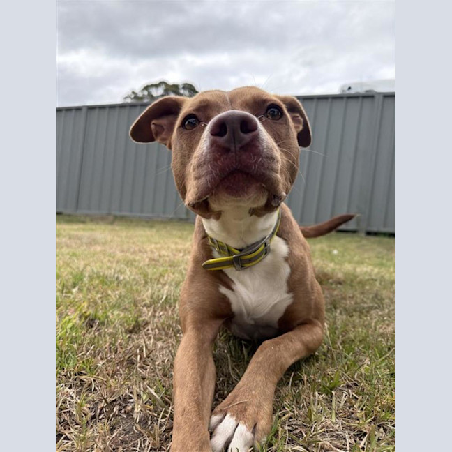Photo of Trix