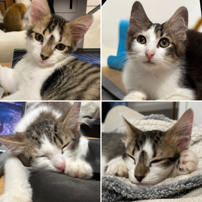 Photo of Ben And Jerry