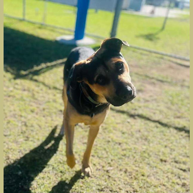 Photo of Thor