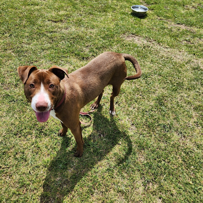 Photo of Polly (64374)