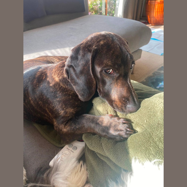 Photo of Elsa