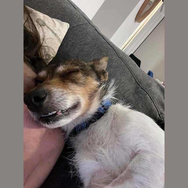 Photo of Charlie