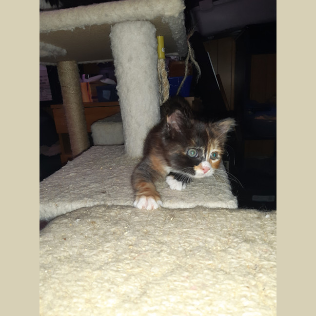 Photo of Purty&Precious