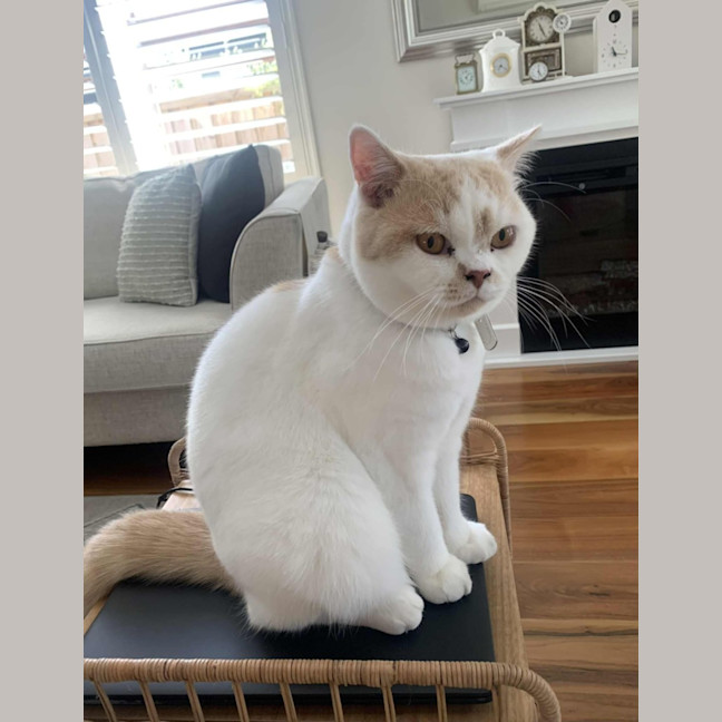 Photo of Gary