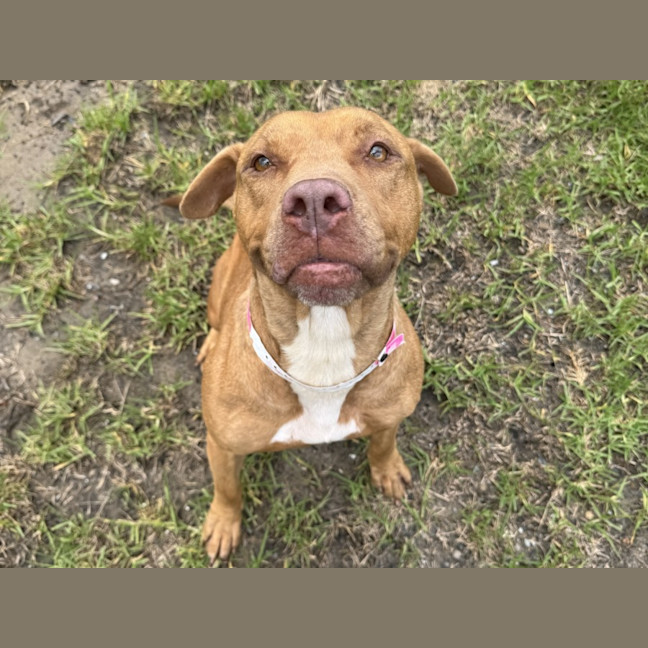 Photo of Margot Imp 2780