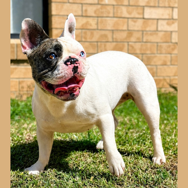 Photo of Lulu