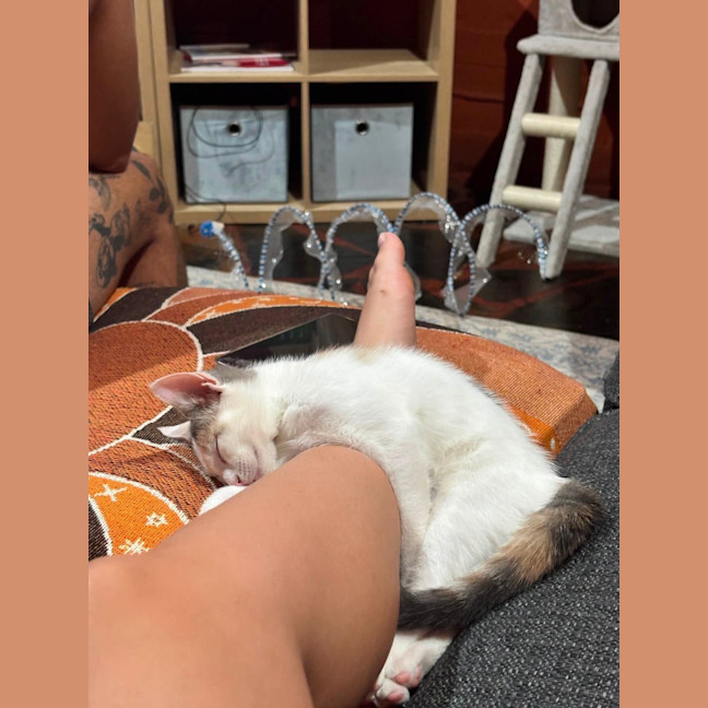 Photo of Lily