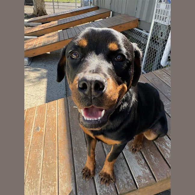 Photo of Susie 