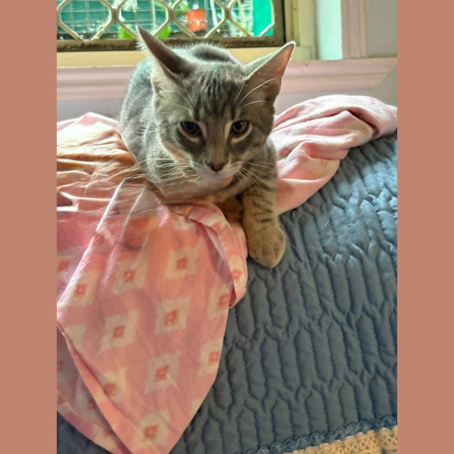 Photo of Sterling